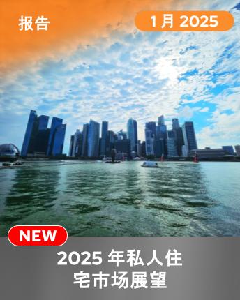 Private Residential Sales Market Outlook 2025 (Mandarin)